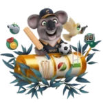 sport fairgo